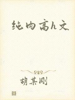 纯肉高h文