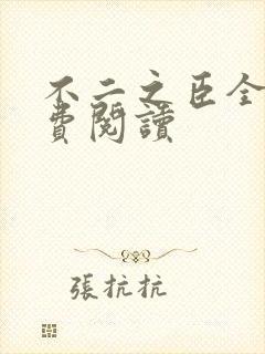 不二之臣全文免费阅读封面