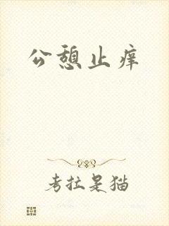 公憩止痒封面