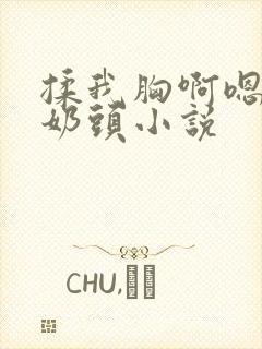 揉我胸啊嗯～吸奶头小说