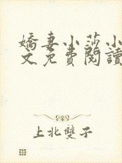 娇妻小莎小说全文免费阅读