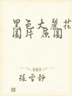 黑色大丽花真实图片 原图