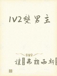 1V2双男主