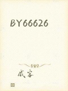 BY66626封面