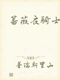 蔷薇夜骑士封面