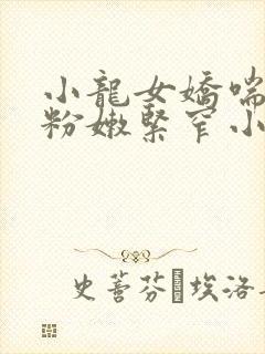 小龙女娇喘呻吟粉嫩紧窄小说