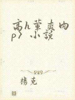 高h荤爽肉〈np〉小说