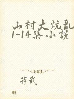 山村大炕乱肉续1-14集小说
