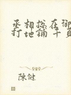 丞相总在御书房打地铺 千页