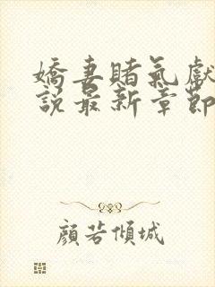 娇妻赌气献身小说最新章节免费阅读