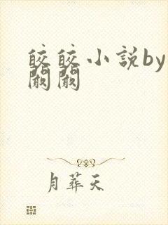 皎皎小说by华阚阚