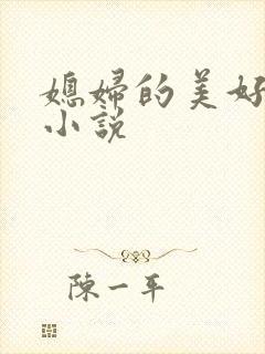 媳妇的美好时代小说