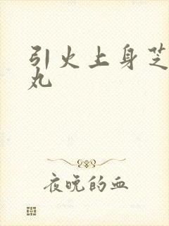 引火上身芝麻糖丸