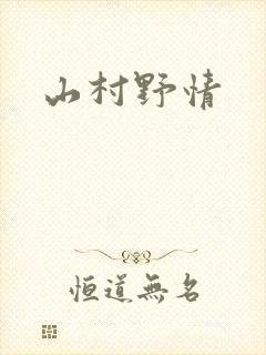山村野情封面