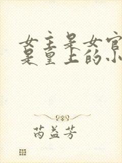 女主是女官男主是皇上的小说封面