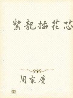 紫龙插花芯方正