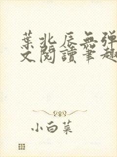 叶北辰无弹窗全文阅读笔趣阁