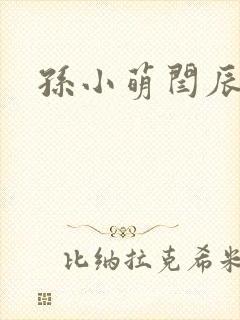 孙小萌闫辰封面