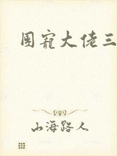 团宠大佬三岁半