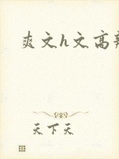 爽文h文高辣h