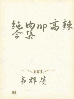 纯肉np高辣文合集