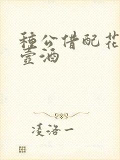 种公借配花间一壶酒