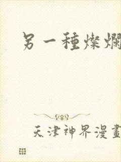 另一种灿烂生活封面