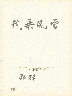我乘风雪封面