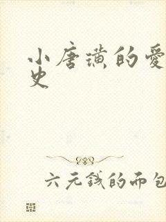 小唐璜的爱情历史