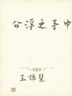公浮之手中字5