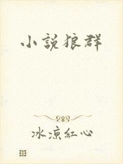 小说狼群