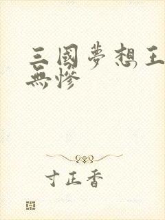 三国梦想王元姬无惨