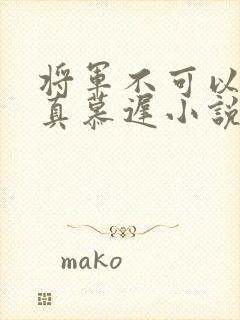 将军不可以魏云真慕迟小说笔趣阁