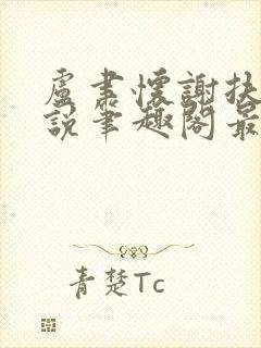 卢聿怀谢扶盈小说笔趣阁最新章节