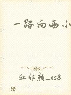 一路向西小说