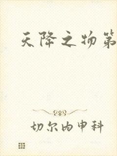 天降之物第一季