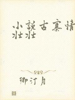 小说古寨情缘安壮壮