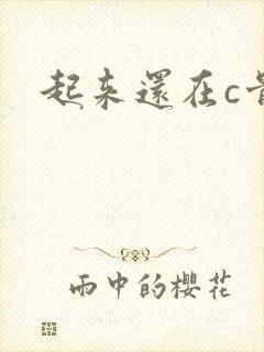 起来还在c骨科封面