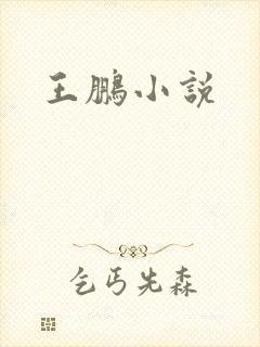 王鹏小说
