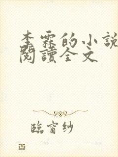 李霖的小说免费阅读全文