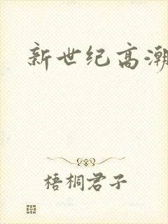 新世纪高潮战队封面