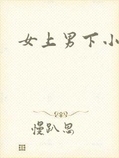 女上男下小说