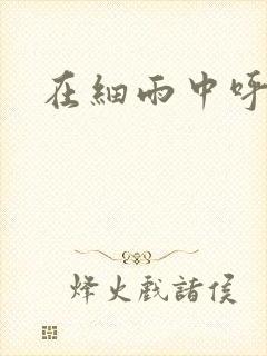 在细雨中呼喊