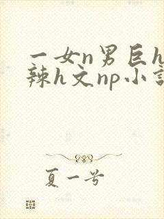 一女n男巨h高辣h文np小说封面