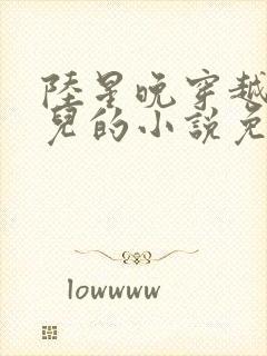 陆星晚穿越成婴儿的小说免费阅读全文