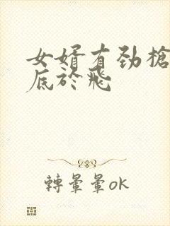 女婿有劲枪枪到底于飞