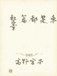 整篇都是车的文章