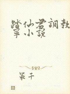 踏仙君调教楚晚宁小说