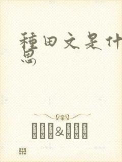 种田文是什么意思封面