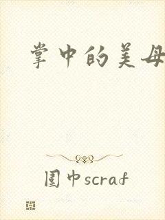 掌中的美母封面